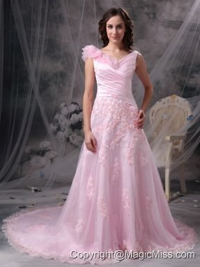 Baby Pink Princess V-neck Floor-length Chiffon Appliques and Ruch Prom / Celebrity Dress