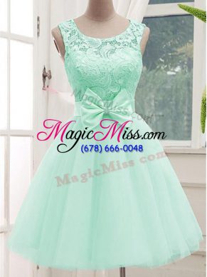 Noble Knee Length A-line Sleeveless Apple Green Dama Dress for Quinceanera Lace Up