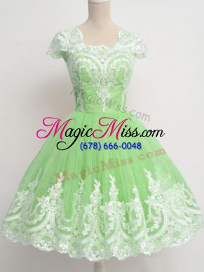 Stunning Zipper Square Lace Quinceanera Court Dresses Tulle Cap Sleeves