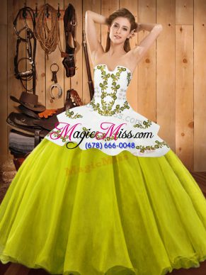 Sleeveless Lace Up Floor Length Embroidery Quinceanera Gowns