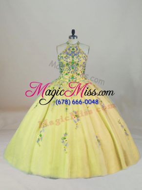 Designer Sleeveless Brush Train Appliques and Embroidery Lace Up Quinceanera Dress