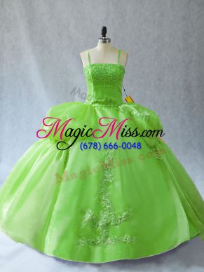 Smart Ball Gowns Quinceanera Gown Straps Organza Sleeveless Floor Length Lace Up