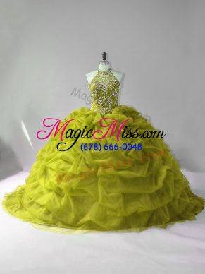 Super Ball Gowns Sleeveless Olive Green Quince Ball Gowns Court Train Lace Up