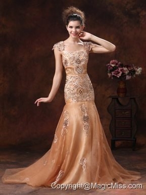 Brown Embroidery Square 2013 Prom Dress With Organza In Puerto