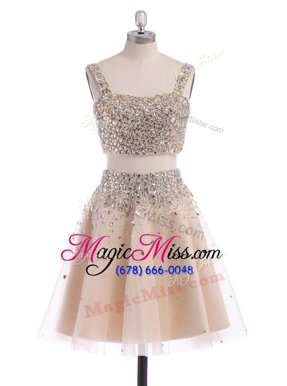Top Selling Straps Straps Sleeveless Zipper Mini Length Beading Prom Party Dress