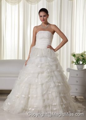 Pretty A-line Strapless Chapel Train Organza Appliques Wedding Dress