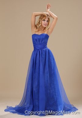 Brookhaven Blue Organza Strapless Brush Train Column Simple Style 2013 Plus Size Prom / Evening dress