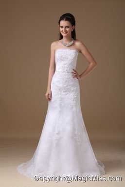 Beautiful A-line Strapless Brush Train Taffeta Lace Wedding Dress