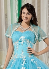 Elegant and Affordable Aqua Blue Quinceanera Jacket with Appliques For 2015