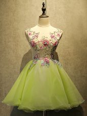 Low Price Olive Green Lace Up Prom Dress Embroidery Sleeveless Mini Length