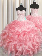 Chic Visible Boning Zipper Up Sweetheart Sleeveless Zipper Sweet 16 Dress Baby Pink Organza