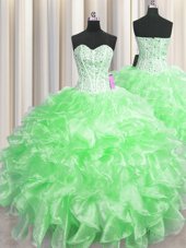 Smart Visible Boning Floor Length Ball Gowns Sleeveless Quince Ball Gowns Zipper