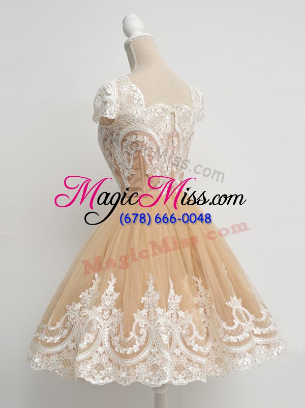 wholesale stunning zipper square lace quinceanera court dresses tulle cap sleeves