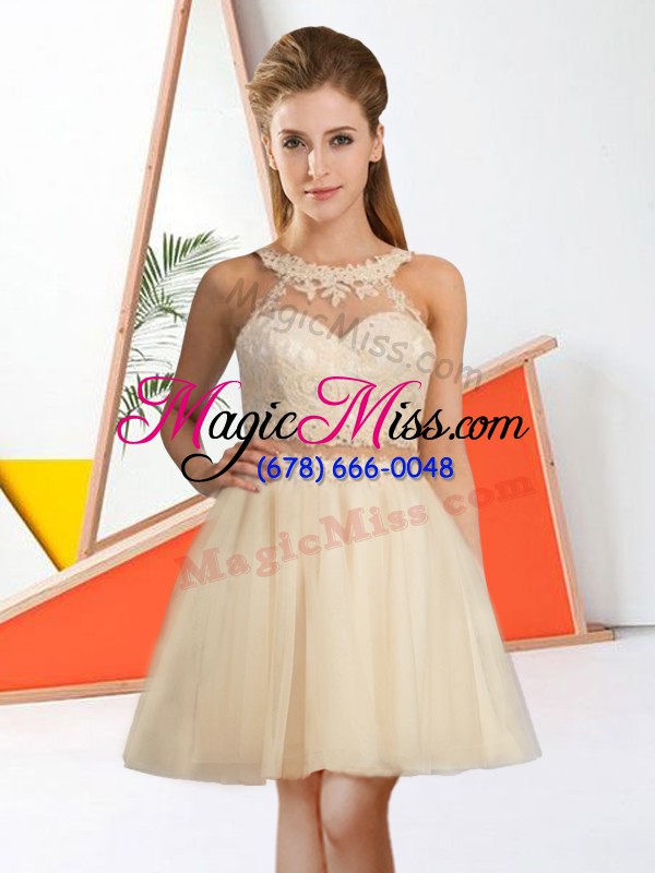 wholesale noble tulle halter top sleeveless zipper lace dama dress for quinceanera in champagne