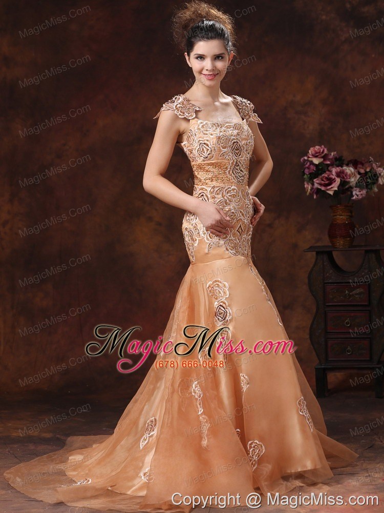 wholesale brown embroidery square 2013 prom dress with organza in puerto