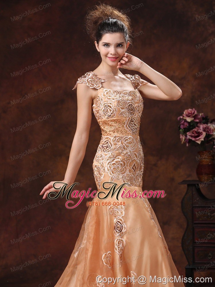 wholesale brown embroidery square 2013 prom dress with organza in puerto