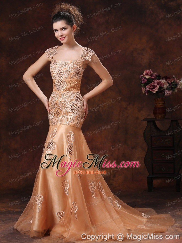 wholesale brown embroidery square 2013 prom dress with organza in puerto