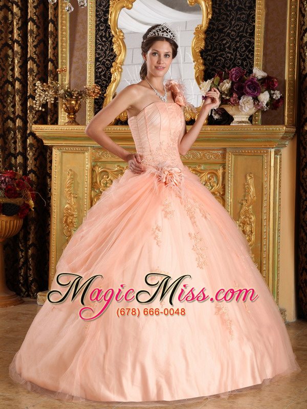 wholesale light pink ball gown one shoulder floor-length appliques tulle champagne quinceanera dress