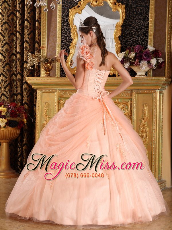 wholesale light pink ball gown one shoulder floor-length appliques tulle champagne quinceanera dress